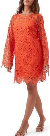 Trina Turk Arles Lace Shift Dress in Marseille Mandarin at Nordstrom, Size 10