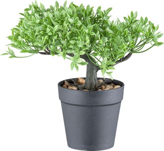 Creativ Green Kunstbonsai