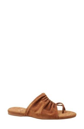 Linea Paolo Lane Toe Loop Sandal in Nutmeg at Nordstrom Rack, Size 5.5