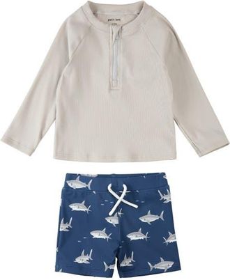 Petit Lem Long Sleeve Rashguard & Shorts Set in Light Grey at Nordstrom, Size 18-24M