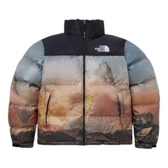 The North Face 1996 Novelty Nuptse Jacket Multicolor NJ1DP76B