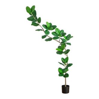 Nearly Natural 7-ft Artificial Curved Trunk Audrey Ficus Tree in Green at Nordstrom
