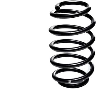 OEM Muelle De Stock Eibach R23221