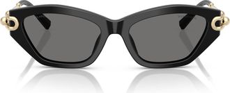 Tiffany & Co. 0tf4231u Cat-Eye Sunglasses