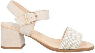 Callaghan ADAPTACTION