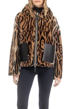 Gorski Genuine Shearling Hooded Jacket, Reversible in Ocelo Print/gold at Nordstrom, Size X-Large