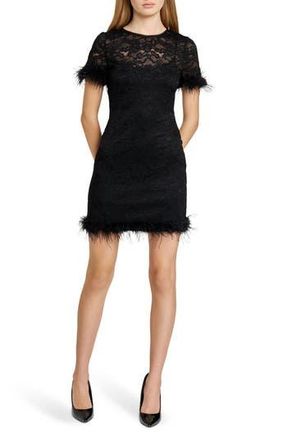 Wayf Alina Feather Lace Minidress in Black at Nordstrom Rack, Size X-Small