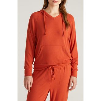 Universal Standard Travel Knit V-Neck Hoodie in Rooibos Tea Red at Nordstrom, Size 4Xl