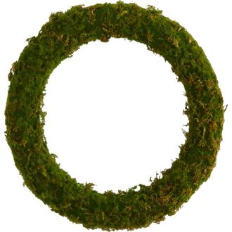 Nearly Natural 20-in Moss Artificial Wreath in Green at Nordstrom