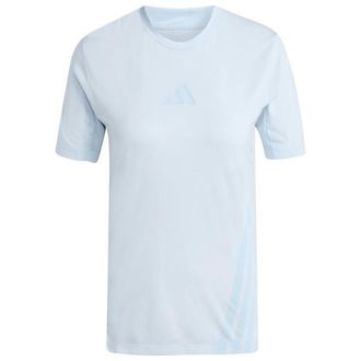 ADIDAS TERREX XPR Tee Funktionsshirt f&uuml;r Damen | grau