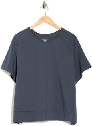 Eileen Fisher Organic Cotton Stretch Jersey Knit T-Shirt in Ocean at Nordstrom Rack, Size 3 X
