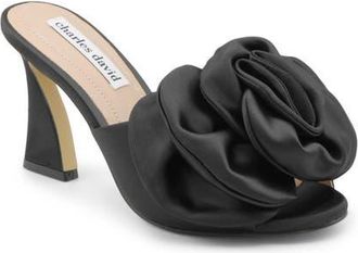 Charles by Charles David Kimchi Slide Sandal in Black at Nordstrom, Size 9.5