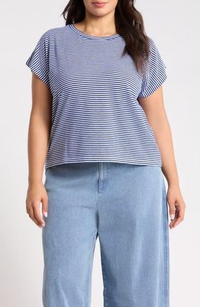 Eileen Fisher Striped Organic Cotton T-shirt in Infty at Nordstrom, Size 1X