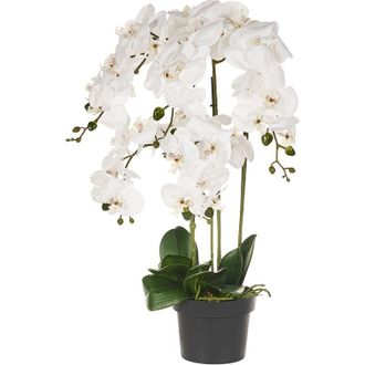 Beliani Planta Artificial En Maceta Orqu&iacute;dea Planta De Interior Decoraci&oacute;n De Pl&aacute;stico 63 Cm Orchid