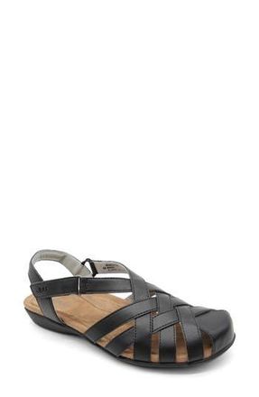 Jambu Bonnie Encore Sandal in Black at Nordstrom Rack, Size 6