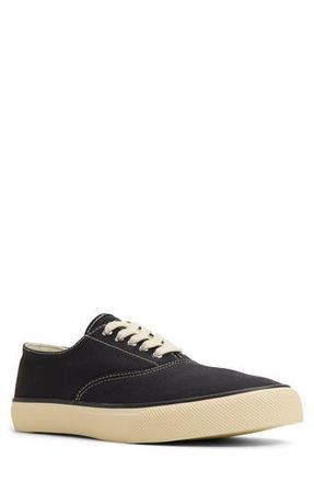 Sperry Top-Sider Classic CVO Sneaker in Black at Nordstrom Rack, Size 10.5