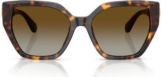 Swarovski 56mm Polarized Irregular Sunglasses in Havana /Brown Gradient Polar at Nordstrom