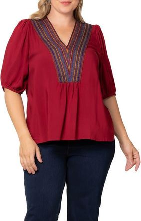 Kiyonna Tacoma Trimmed V-Neck Top in Crimson Red at Nordstrom, Size 3X