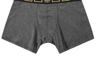 Versace Mens Long Trunk With Greca Border In Grey/gold