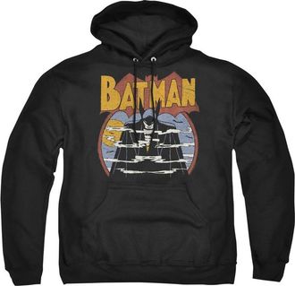 Gildan DC Comics Foggy Adult Pull Over Hoodie / Hooded Sweatshirt