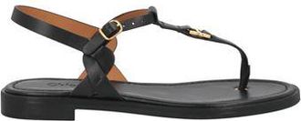 Chloé Thong sandals