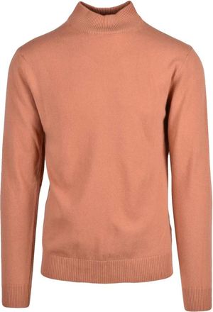 Daniele Fiesoli Truien & Vesten, Heren, Bruin, M, Wol, Lupetto Turtleneck