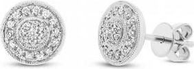 Allurez 0.33ct 14k White Gold Diamond Circle Earrings