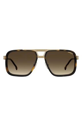 Carrera 61mm Gradient Rectangular Sunglasses in Havana Gold/Brown Sf at Nordstrom