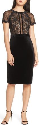 Tadashi Shoji Lace & Velvet Dress in Black/Nude at Nordstrom, Size 14