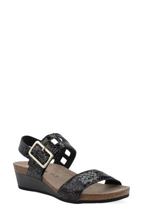 Naot Dynasty Wedge Sandal in Reptile Patent at Nordstrom, Size 11Us