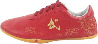 Generic Taekwondo Shoes, Martial Arts Sports Boxing Karate Taichi Lightweight for Kids Women Men Adult(Red,10.5 UK Child)