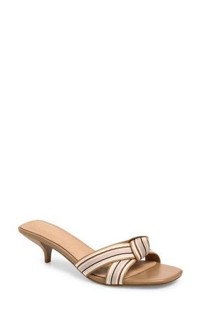 Cecelia New York Fred Kitten Heel Slide Sandal in Tea Multi at Nordstrom, Size 8.5