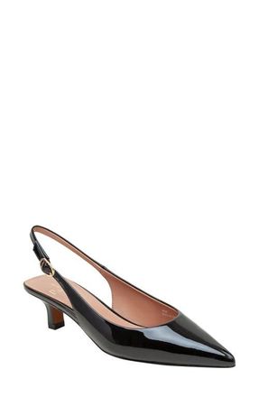 Linea Paolo Cecil Slingback Pointed Toe Kitten Heel Pump in Black at Nordstrom, Size 5.5
