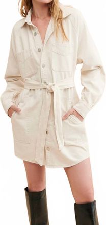 Hudson Oversized Shirt Mini Dress In Great Egret
