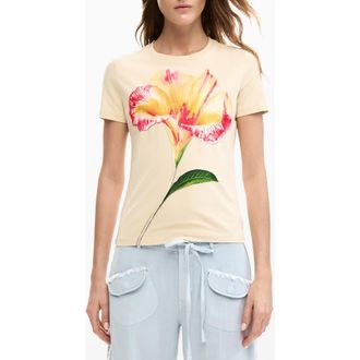 Desigual Embroidered Pansy Cotton Graphic T-Shirt in Light Beige at Nordstrom, Size X-Small