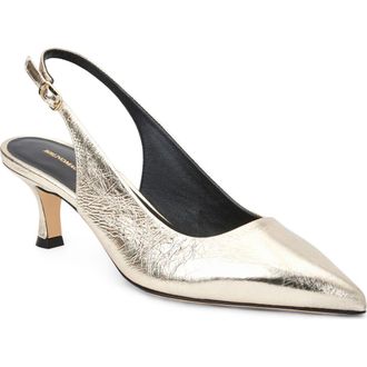 Bruno Magli Palerma Slingback Pointed Toe Kitten Heel Pump in Platino at Nordstrom, Size 10.5