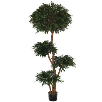 Leaf Artificial Japanese Ruscus Tree With 4173 Leaves 180cm Fire Retardant in Green