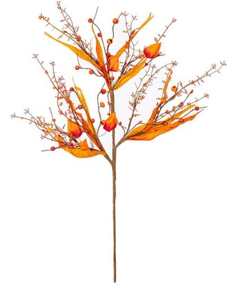 Vickerman Set Of Two 29In Fall Artificial Lantern, Berry & Husk Sprays