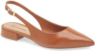 Bottero Alessandra Slingback Pointed Toe Flat in Caramelo at Nordstrom, Size 11