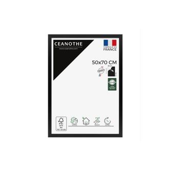 Ceanothe Ceanothe Marco 50x70 Negro Para Decoraci&oacute;n De Pared
