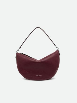 Gianni Chiarini CLEO