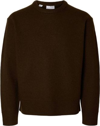 Selected Heren, Truien, Bruin, Maat: XL Wol