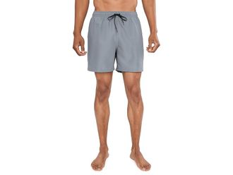 Nike Breaker Swoosh Break 5 Brief Lined Volley Mens Swimwear Cool Grey : 2XL, Polyester