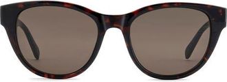 Fossil 53mm Square Sunglasses in Havana/brown at Nordstrom
