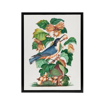 Artery8 Nuthatch Bird Hazel Oak & Bramble Bolton Black Framed Canvas Art | Size: W24 x H32