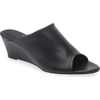 Aeyde Suzanne Wedge Sandal in Black at Nordstrom, Size 10Us