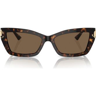 Jimmy Choo London 55mm Cat Eye Sunglasses in Havana /Dark Brown at Nordstrom
