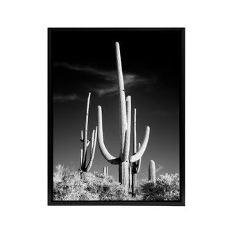Artery8 Saguaro Cactus Arizona Carol M Highsmith Framed Canvas Wall Art Print in Grey | Size: W24 x H32