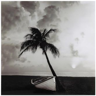 OEM Pintura Monocrom&aacute;tica Sobre Vidrio - Palmera 80x80cm
