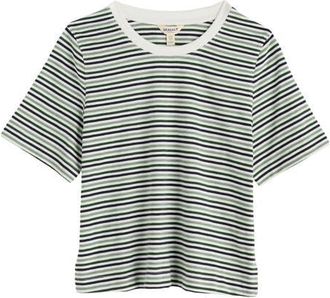Seasalt Cornwall Copseland Stripe Organic Cotton T-Shirt in Pellitras Treetop at Nordstrom, Size 14 Us